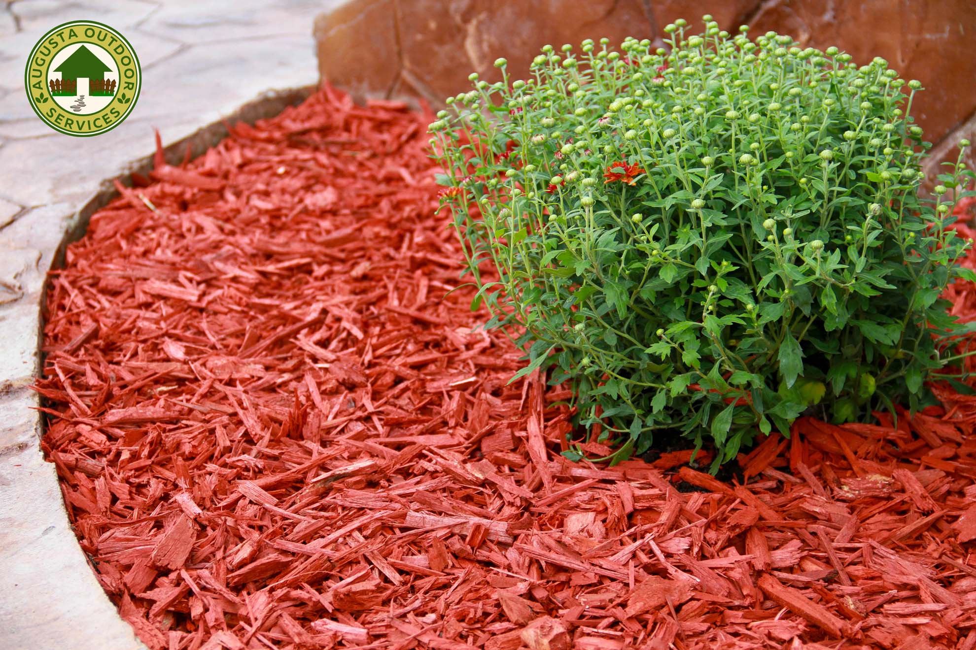 Ground Cover Augusta Outdoors
